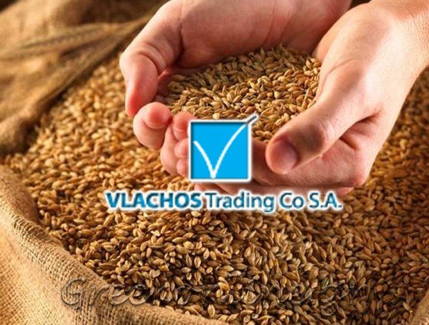 ΕΜΠΟΡΙΟ ΤΡΟΦΙΜΩΝ ΘΕΣΣΑΛΟΝΙΚΗ  “VLACHOS TRADING CO S.A.”  ΒΛΑΧΟΣ ΕΜΠΟΡΙΚΗ Α.Ε.