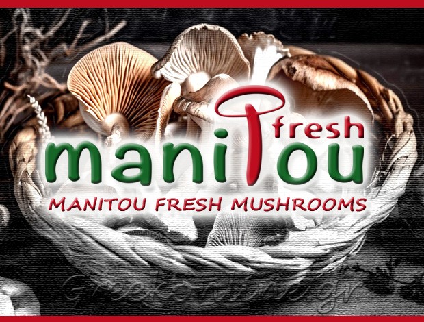 ΕΜΠΟΡΙΟ ΜΑΝΙΤΑΡΙΩΝ  ΣΙΝΔΟΣ ΘΕΣΣΑΛΟΝΙΚΗΣ  “MANITOU FRESH MUSHROOMS” MFM EE