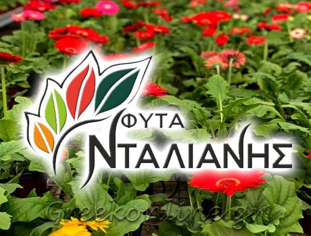 ΦΥΤΑ – ΑΝΘΟΚΟΜΙΚΑ  ΚΑΤΩ ΣΟΥΛΙ ΜΑΡΑΘΩΝΑ  “ΦΥΤΑ ΝΤΑΛΙΑΝΗΣ”  ΝΤΑΛΙΑΝΗΣ ΗΛΙΑΣ