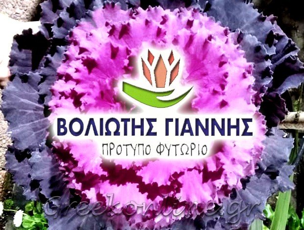 ΦΥΤΩΡΙΟ ΠΕΡΙΣΤΕΡΙ ΑΤΤΙΚΗΣ  ΒΟΛΙΩΤΗΣ ΙΩΑΝΝΗΣ