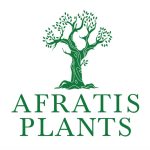 ΦΥΤΩΡΙΟ-ΧΑΛΚΙΔΑ-AFRATIS-PLANTS-ΑΦΡΑΤΗΣ
