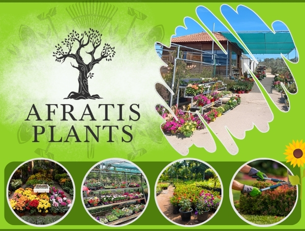 ΦΥΤΩΡΙΟ ΧΑΛΚΙΔΑ ΕΥΒΟΙΑΣ “AFRATIS PLANTS” ΑΦΡΑΤΗΣ Ν. – ΑΦΡΑΤΗΣ O. ΟΕ