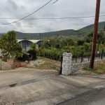 ΦΥΤΩΡΙΟ-ΜΥΤΙΛΗΝΗ-ΑΝΘΟΚΗΠΙΑ-ΠΑΠΑΛΑΣ