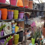 ΦΥΤΩΡΙΟ-ΜΥΤΙΛΗΝΗ-ΑΝΘΟΚΗΠΙΑ-ΠΑΠΑΛΑΣ