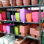 ΦΥΤΩΡΙΟ-ΜΥΤΙΛΗΝΗ-ΑΝΘΟΚΗΠΙΑ-ΠΑΠΑΛΑΣ