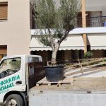 ΦΥΤΩΡΙΟ-ΜΥΤΙΛΗΝΗ-ΑΝΘΟΚΗΠΙΑ-ΠΑΠΑΛΑΣ