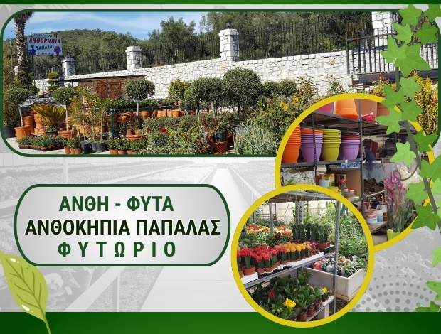 ΦΥΤΩΡΙΑ ΜΥΤΙΛΗΝΗΣ  “ΑΝΘΟΚΗΠΙΑ ΠΑΠΑΛΑΣ”  ΠΑΠΑΛΑΣ ΕΥΣΤΡΑΤΙΟΣ