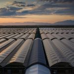 ΘΕΡΜΟΚΗΠΙΑ-ΘΡΑΚΗΣ-ΑΕ-ΝΕΟ-ΕΡΑΣΜΙΟ-ΞΑΝΘΗ