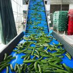 ΘΕΡΜΟΚΗΠΙΑ-ΘΡΑΚΗΣ-ΑΕ-ΝΕΟ-ΕΡΑΣΜΙΟ-ΞΑΝΘΗ