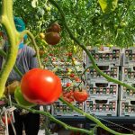 ΘΕΡΜΟΚΗΠΙΑ-ΘΡΑΚΗΣ-ΑΕ-ΝΕΟ-ΕΡΑΣΜΙΟ-ΞΑΝΘΗ