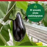 ΘΕΡΜΟΚΗΠΙΑ-ΘΡΑΚΗΣ-ΑΕ-ΝΕΟ-ΕΡΑΣΜΙΟ-ΞΑΝΘΗ