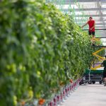 ΘΕΡΜΟΚΗΠΙΑ-ΘΡΑΚΗΣ-ΑΕ-ΝΕΟ-ΕΡΑΣΜΙΟ-ΞΑΝΘΗ