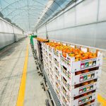 ΘΕΡΜΟΚΗΠΙΑ-ΘΡΑΚΗΣ-ΑΕ-ΝΕΟ-ΕΡΑΣΜΙΟ-ΞΑΝΘΗ