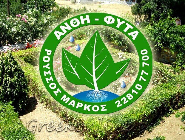 ΦΥΤΩΡΙΟ ΣΥΡΟΣ ΚΥΚΛΑΔΕΣ “ΑΝΘΕΩΝ ΟΔΟΣ” ΡΟΥΣΣΟΣ Γ. ΜΑΡΚΟΣ