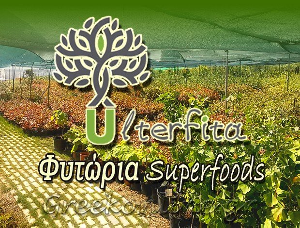 ΦYΤΩΡΙΟ ΥΠΕΡΤΡΟΦΩΝ ΣΕΡΒΙΑ ΚΟΖΑΝΗΣ “ULTERFITA SUPERFOODS” ΓΙΑΛΕΤΖΗ ΟΥΡΣΟΥΛΑ