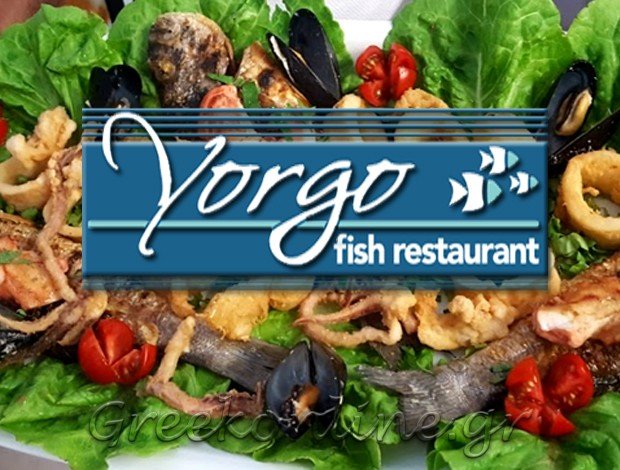 BEST FISH RESTAURANT KOS  “YORGO FISH RESTAURANT”  ΠΑΠΑΔΟΠΟΥΛΟΣ ΓΕΩΡΓΙΟΣ