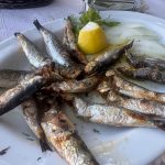 ΕΣΤΙΑΤΟΡΙΟ-ΑΛΟΝΝΗΣΟΣ-Ο-ΓΙΑΛΟΣ-ΑΛΕΞΙΟΥ