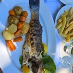 ΕΣΤΙΑΤΟΡΙΟ-ΑΥΛΑΚΙ-ΣΙΝΙΕΣ-ΚΕΡΚΥΡΑ-CAVO-BARBARO