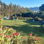 ΤΑΒΕΡΝΑ-ΛΑΓΑΝΑΣ-ΖΑΚΥΝΘΟΥ-EL-GRECO-ΧΑΪΚΑΛΗ