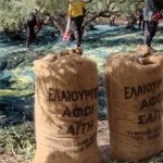 ΕΛΑΙΟΥΡΓΕΙΟ-ΤΥΜΠΑΚΙ-ΗΡΑΚΛΕΙΟΥ-ΑΦΟΙ-ΣΑΪΤΗ