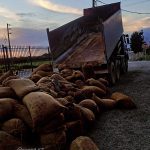 ΕΛΑΙΟΥΡΓΕΙΟ-ΤΥΜΠΑΚΙ-ΗΡΑΚΛΕΙΟΥ-ΑΦΟΙ-ΣΑΪΤΗ