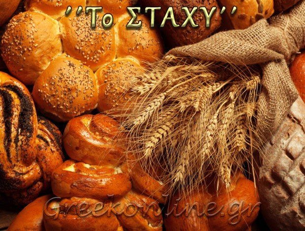 ΑΡΤΟΖΑΧΑΡΟΠΛΑΣΤΕΙΟ ΚΑΒΑΛΑ  “ΣΤΑΧΥ”ΑΛΕΞΙΟΥ ΠΑΝΑΓΙΩΤΗΣ  ΞΑΝΘΟΠΟΥΛΟΣ ΣΤΕΛΙΟΣ ΟΕ