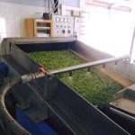 ΕΛΑΙΟΥΡΓΕΙΟ-ΤΥΜΠΑΚΙ-ΗΡΑΚΛΕΙΟΥ-ΑΦΟΙ-ΣΑΪΤΗ