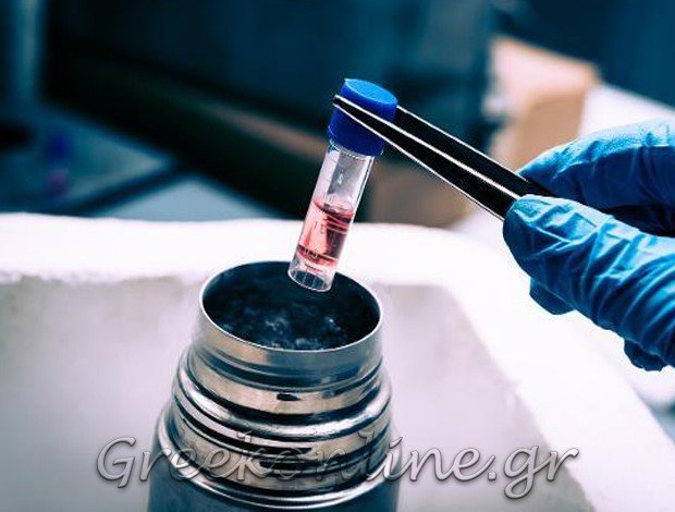 ΕΞΕΙΔΙΚΕΥΜΕΝΕΣ ΕΡΓΑΣΙΕΣ ΑΛΟΥΜΙΝΟΥ   ΛΗΤΗ ΘΕΣΣΑΛΟΝΙΚΗΣ  ΠΑΠΑΓΙΑΝΝΗΣ Π. ΘΕΟΧΑΡΗΣ