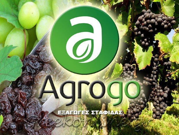 ΕΞΑΓΩΓΕΣ ΣΤΑΦΙΔΑΣ  ΚΙΑΤΟ ΚΟΡΙΝΘΙΑΣ  ‘”AGROGO”  AGROGO SA