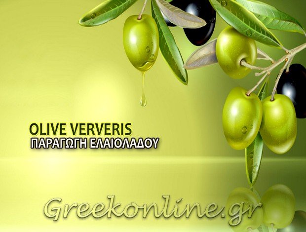 ΠΑΡΑΓΩΓΗ ΕΛΑΙΟΛΑΔΟΥ ΣΤΑΥΡΟΣ ΛΕΣΒΟΥ “OLIVE VERVERIS” ΒΕΡΒΕΡΗΣ ΝΙΚΟΛΑΟΣ