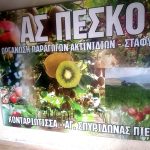 ΑΓΡΟΤΙΚΟΣ-ΣΥΝΕΤΑΙΡΙΣΜΟΣ-ΠΕΣΚΟ-ΚΟΝΤΑΡΙΩΤΙΣΣΑ-ΠΙΕΡΙΑΣ