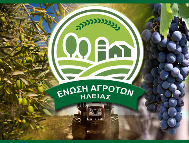 ΑΓΡΟΤΙΚΟΣ ΣΥΝΕΤΑΙΡΙΣΜΟΣ ΠΥΡΓΟΣ ΗΛΕΙΑΣ  ΕΝΩΣΗ ΑΓΡΟΤΩΝ ΗΛΕΙΑΣ ΙΚΕ