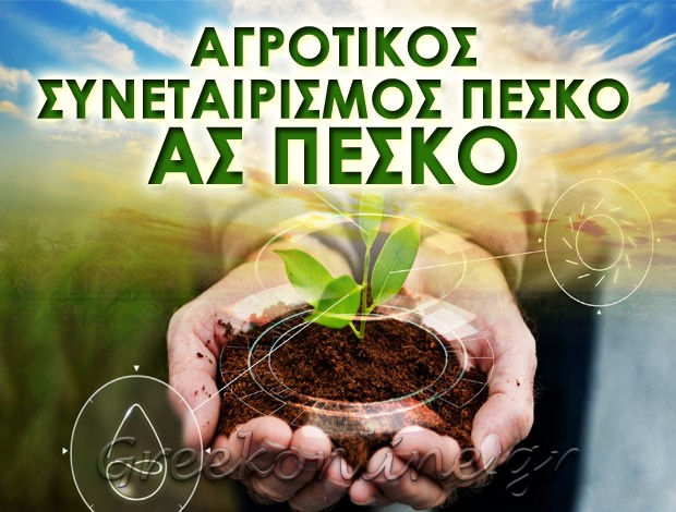 ΑΓΡΟΤΙΚΟΣ ΣΥΝΕΤΑΙΡΙΣΜΟΣ ΠΙΕΡΙΑΣ  “ΑΣ ΠΕΣΚΟ”  ΑΓΡΟΤΙΚΟΣ ΣΥΝΕΤΑΙΡΙΣΜΟΣ ΠΕΣΚΟ