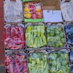 ΕΜΠΟΡΙΟ-ΦΡΟΥΤΩΝ-ΛΑΧΑΝΙΚΩΝ-ΛΑΡΙΣΑ-ΒΑΓΓΟΣ-VEGGIE-STREET-ΚΟΛΠΟΥΖΗΣ