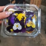 ΕΜΠΟΡΙΟ-ΦΡΟΥΤΩΝ-ΛΑΧΑΝΙΚΩΝ-ΛΑΡΙΣΑ-ΒΑΓΓΟΣ-VEGGIE-STREET-ΚΟΛΠΟΥΖΗΣ