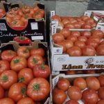 ΕΜΠΟΡΙΟ-ΦΡΟΥΤΩΝ-ΛΑΧΑΝΙΚΩΝ-ΛΑΡΙΣΑ-ΒΑΓΓΟΣ-VEGGIE-STREET-ΚΟΛΠΟΥΖΗΣ