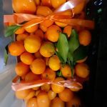 ΕΜΠΟΡΙΟ-ΦΡΟΥΤΩΝ-ΛΑΧΑΝΙΚΩΝ-ΛΑΡΙΣΑ-ΒΑΓΓΟΣ-VEGGIE-STREET-ΚΟΛΠΟΥΖΗΣ