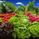 ΕΜΠΟΡΙΟ-ΟΠΩΡΟΚΗΠΕΥΤΙΚΩΝ-ΣΚΥΔΡΑ-ΙΓΝΑΤΙΔΗΣ