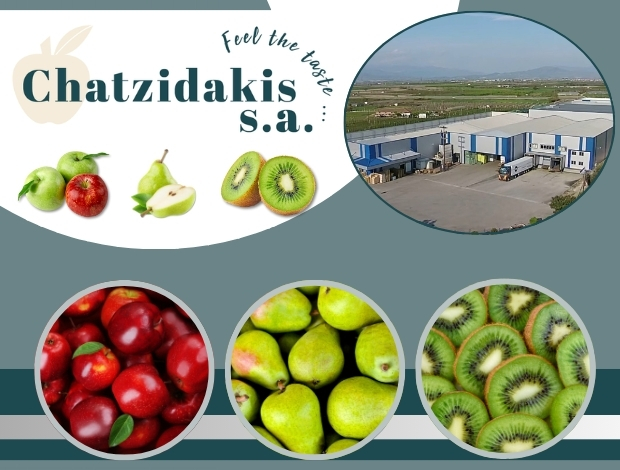 ΧΟΝΔΡΙΚΟ ΕΜΠΟΡΙΟ ΦΡΟΥΤΩΝ ΤΥΡΝΑΒΟΣ ΛΑΡΙΣΑΣ ΧΑΤΖΗΔΑΚΗΣ Θ. Α.Ε.