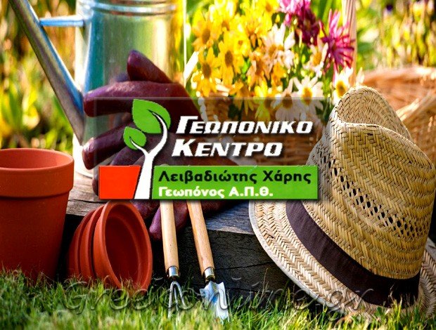 ΓΕΩΠΟΝΙΚΕΣ ΥΠΗΡΕΣΙΕΣ  ΚΑΣΣΑΝΔΡΕΙΑ ΧΑΛΚΙΔΙΚΗΣ  “ΓΕΩΠΟΝΙΚΟ ΚΕΝΤΡΟ”  ΛΕΙΒΑΔΙΩΤΗΣ ΘΕΟΧΑΡΗΣ