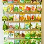 ΓΕΩΡΓΙΚΑ-ΕΦΟΔΙΑ-ΚΟΙΛΑΔΑ-ΚΟΖΑΝΗΣ-ΚΑΚΛΑΜΑΝΟΥ