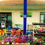 ΓΕΩΡΓΙΚΑ-ΕΦΟΔΙΑ-ΚΟΙΛΑΔΑ-ΚΟΖΑΝΗΣ-ΚΑΚΛΑΜΑΝΟΥ