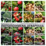 ΓΕΩΡΓΙΚΑ-ΕΦΟΔΙΑ-ΚΟΙΛΑΔΑ-ΚΟΖΑΝΗΣ-ΚΑΚΛΑΜΑΝΟΥ