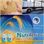 ΓΕΩΡΓΙΚΑ-ΕΦΟΔΙΑ-ΚΟΙΛΑΔΑ-ΚΟΖΑΝΗΣ-ΚΑΚΛΑΜΑΝΟΥ