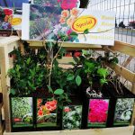 ΓΕΩΡΓΙΚΑ-ΕΦΟΔΙΑ-ΚΟΙΛΑΔΑ-ΚΟΖΑΝΗΣ-ΚΑΚΛΑΜΑΝΟΥ