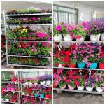 ΓΕΩΡΓΙΚΑ-ΕΦΟΔΙΑ-ΚΟΙΛΑΔΑ-ΚΟΖΑΝΗΣ-ΚΑΚΛΑΜΑΝΟΥ