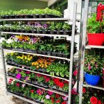 ΓΕΩΡΓΙΚΑ-ΕΦΟΔΙΑ-ΚΟΙΛΑΔΑ-ΚΟΖΑΝΗΣ-ΚΑΚΛΑΜΑΝΟΥ