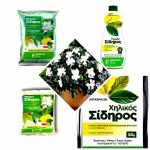 ΓΕΩΡΓΙΚΑ-ΕΦΟΔΙΑ-ΚΟΙΛΑΔΑ-ΚΟΖΑΝΗΣ-ΚΑΚΛΑΜΑΝΟΥ