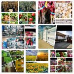 ΓΕΩΡΓΙΚΑ-ΕΦΟΔΙΑ-ΚΟΙΛΑΔΑ-ΚΟΖΑΝΗΣ-ΚΑΚΛΑΜΑΝΟΥ