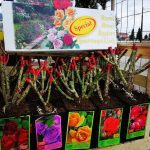 ΓΕΩΡΓΙΚΑ-ΕΦΟΔΙΑ-ΚΟΙΛΑΔΑ-ΚΟΖΑΝΗΣ-ΚΑΚΛΑΜΑΝΟΥ